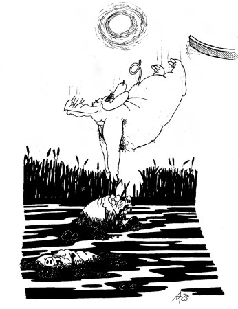 Schweinhausen: Erfrischung bei Sauhitze